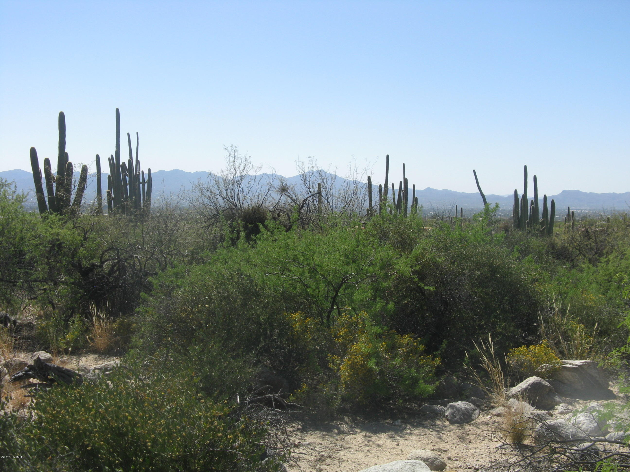 Pima Canyon Estates (1-14) - Land