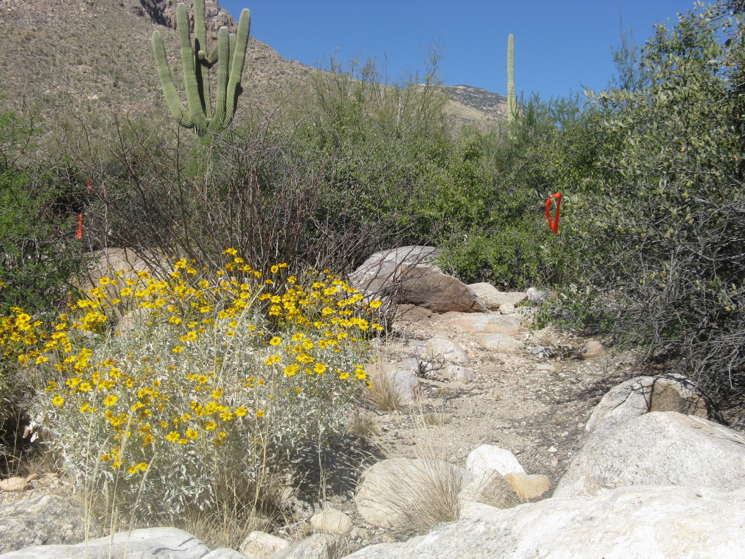 Pima Canyon Estates (1-14) - Land