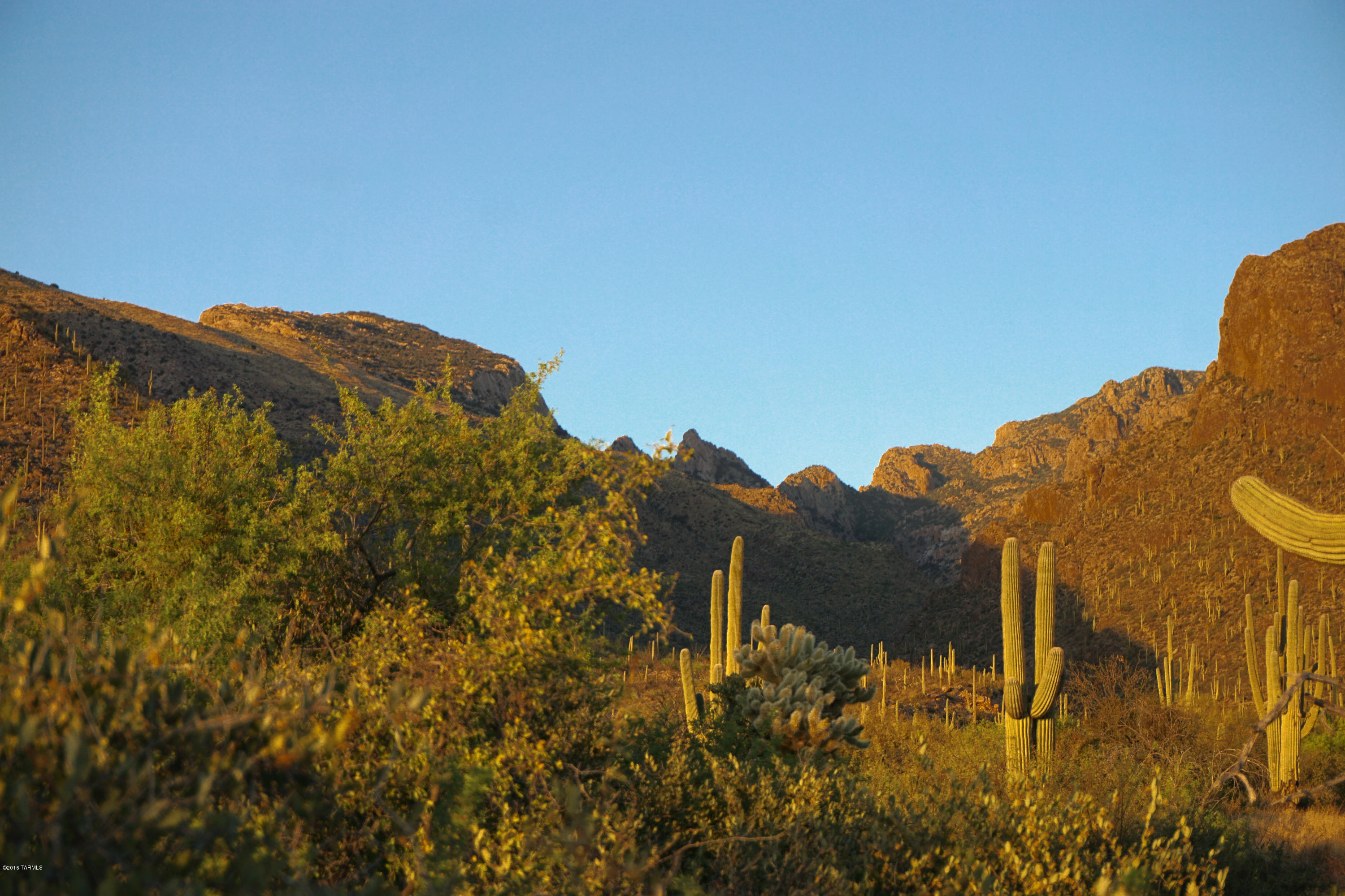 Pima Canyon Estates (1-14) - Land
