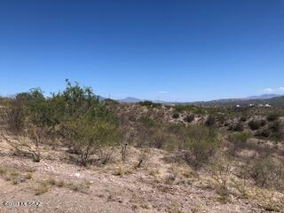 Rio Rico Ranchettes 12 - Land