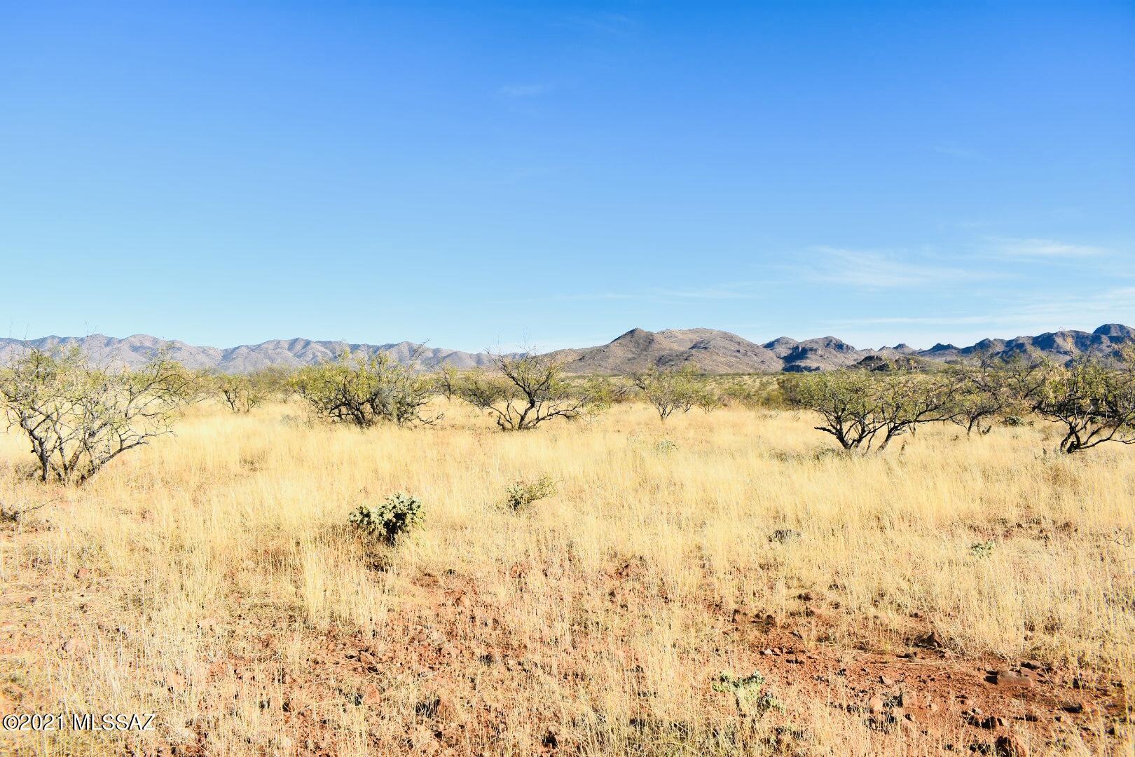 Rio Rico - Land