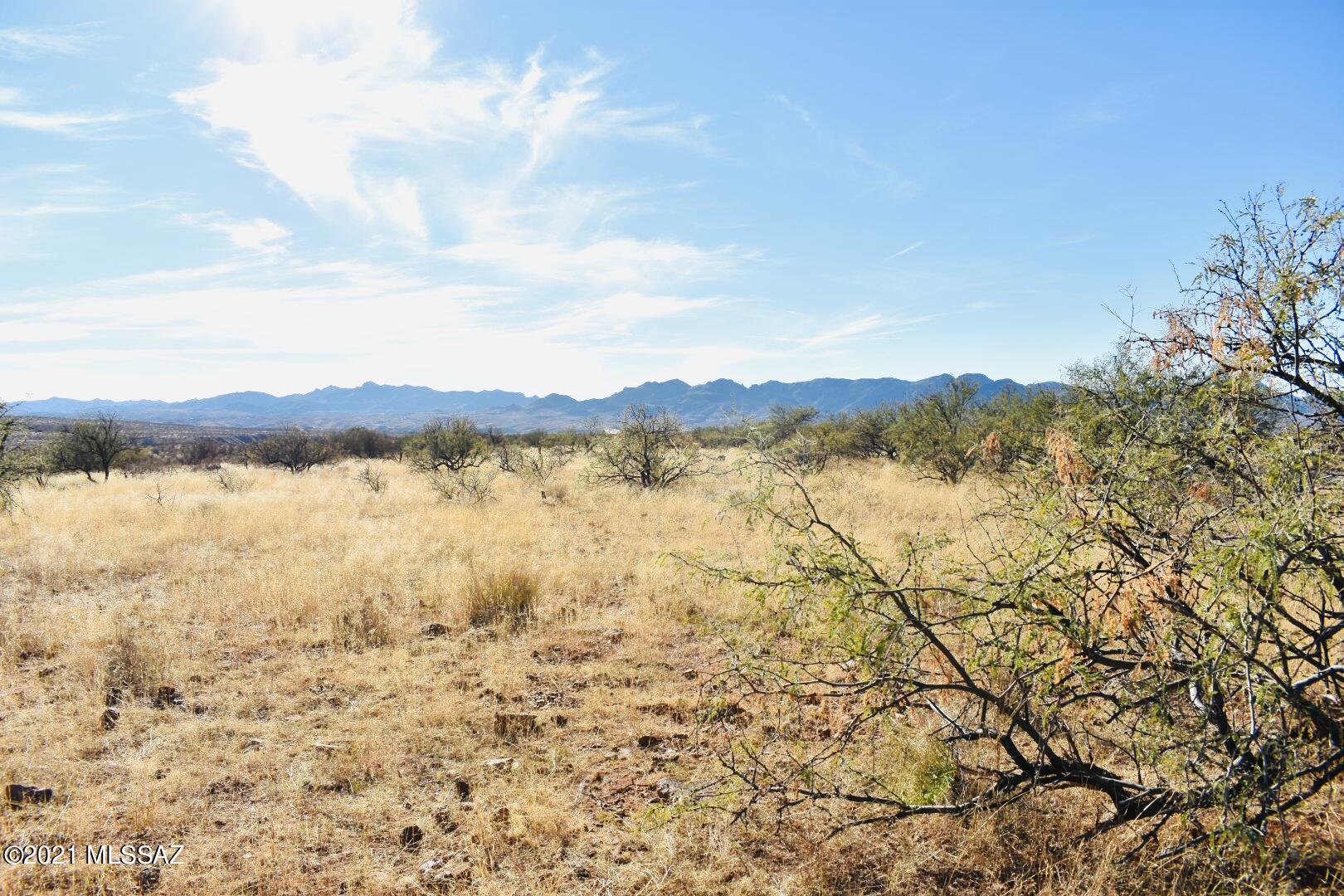 Rio Rico - Land