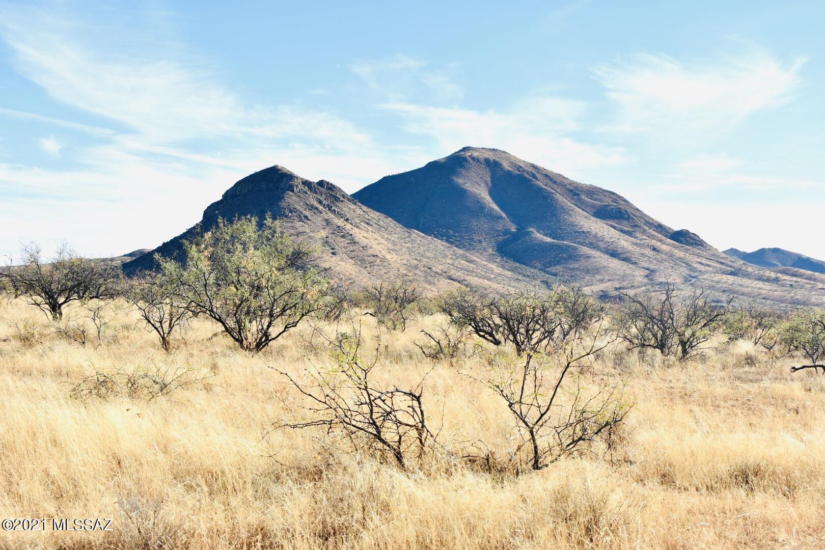 Rio Rico - Land