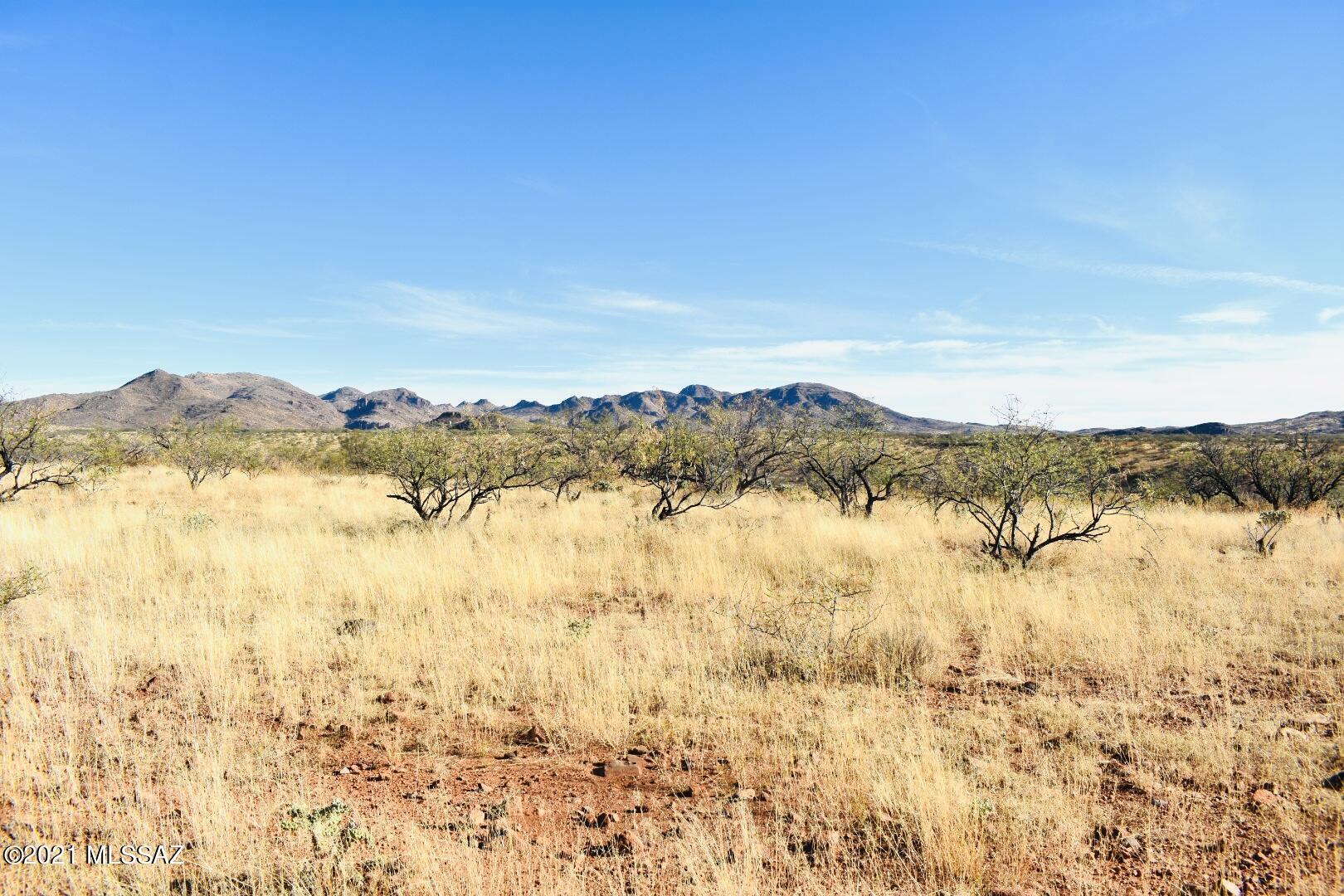 Rio Rico - Land