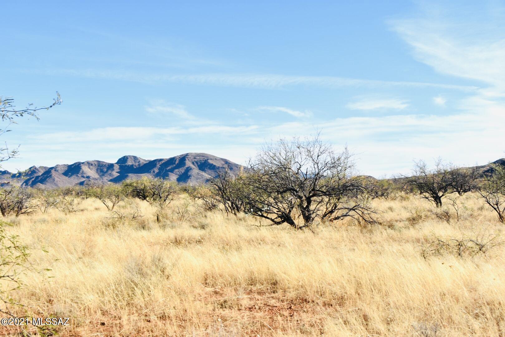 Rio Rico - Land
