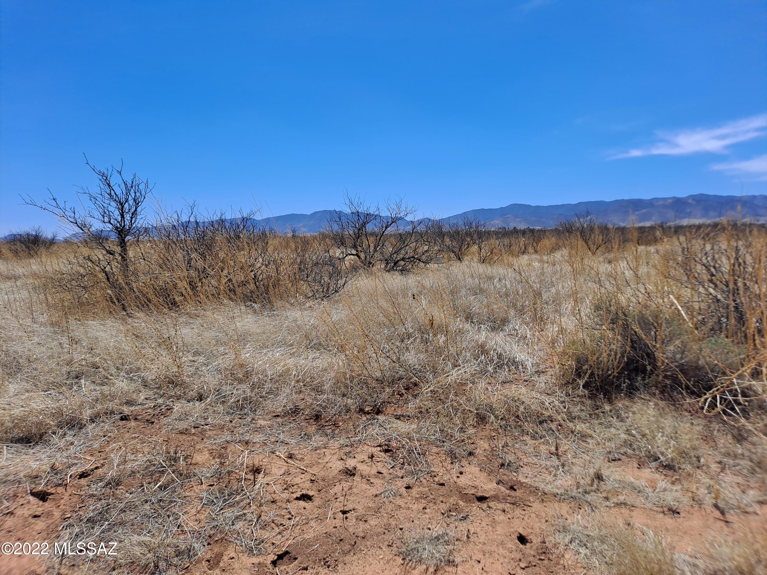 Out Of Pima County - Land