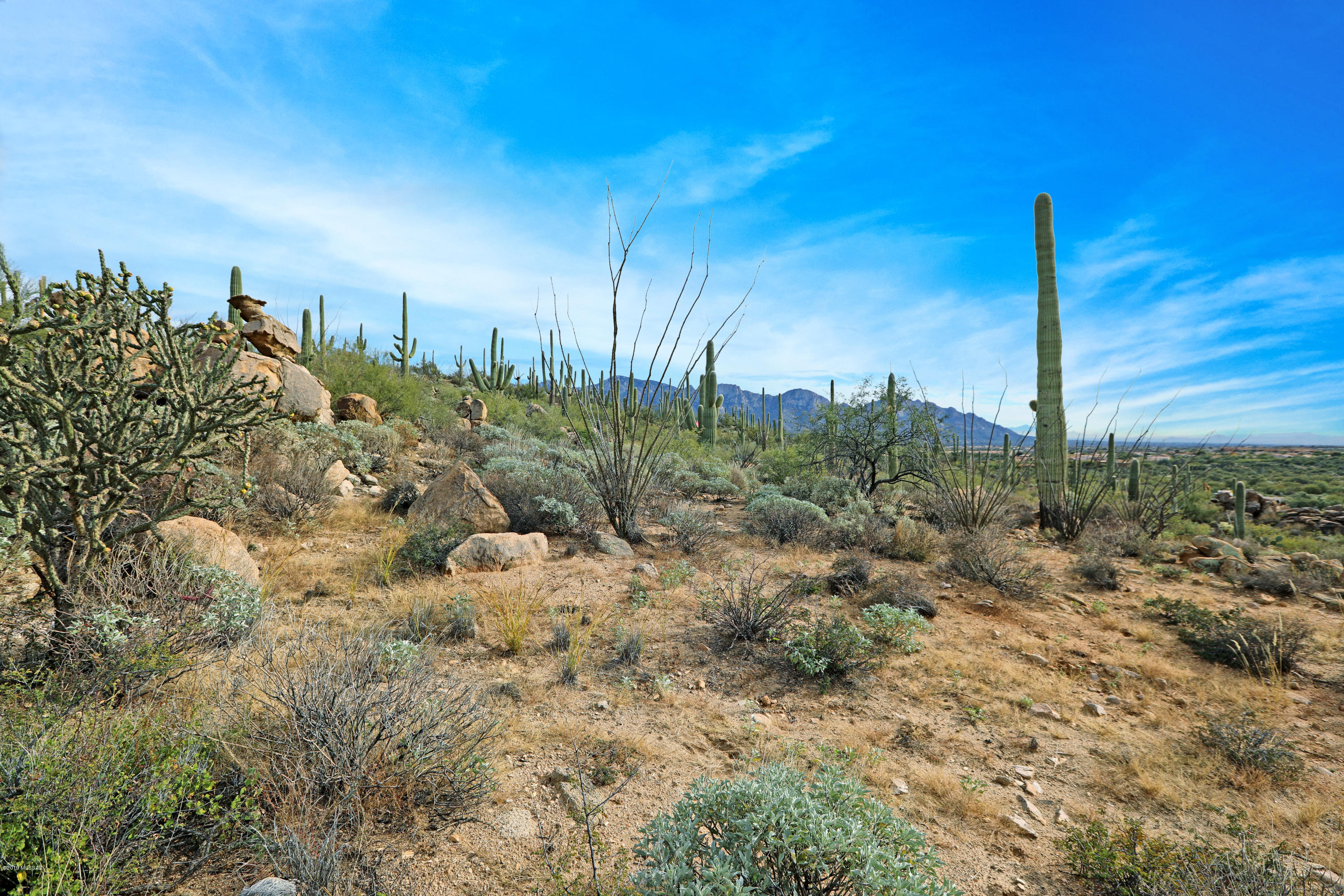 Stone Canyon VIII (486-602) - Land