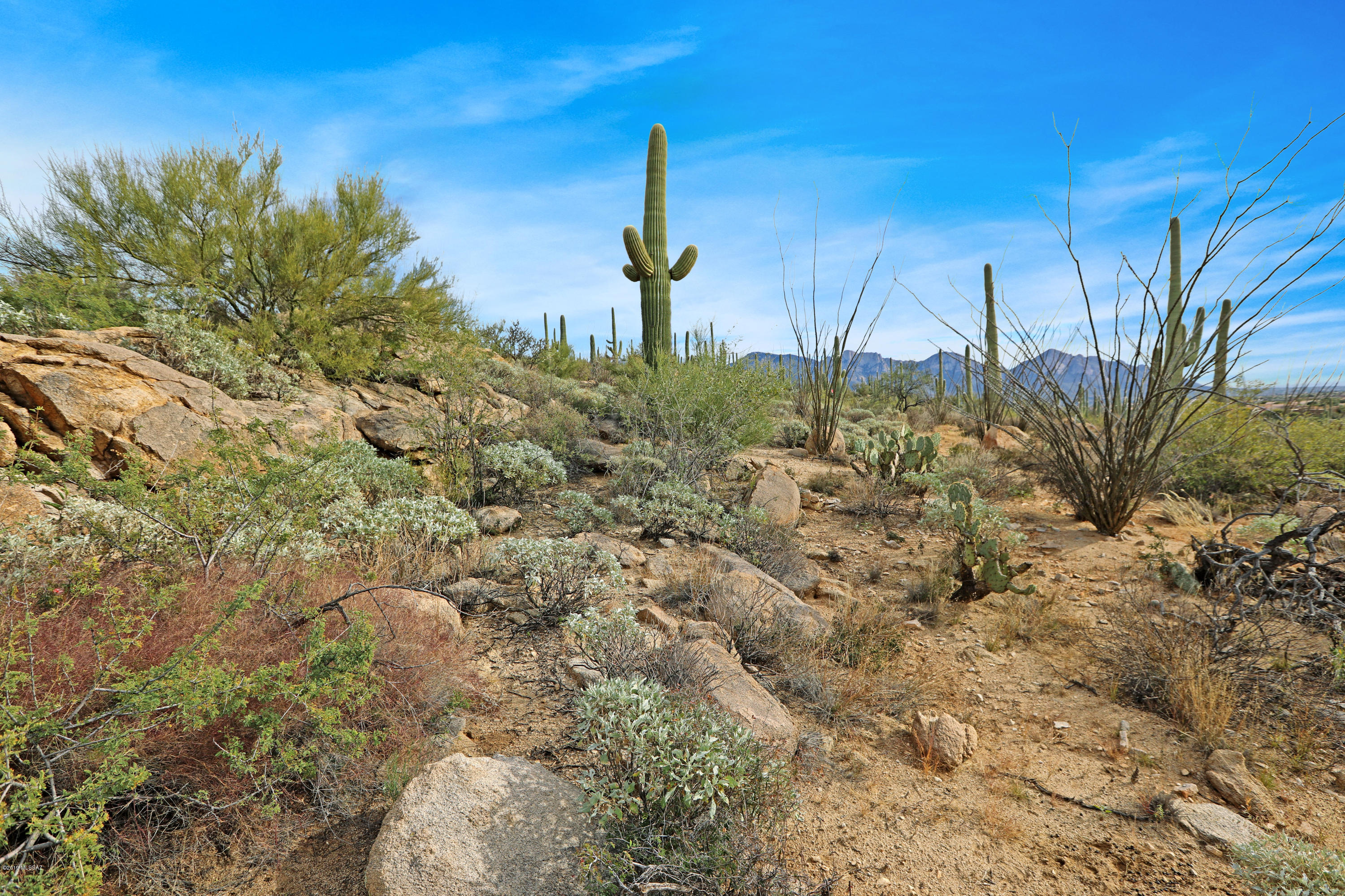 Stone Canyon VIII (486-602) - Land