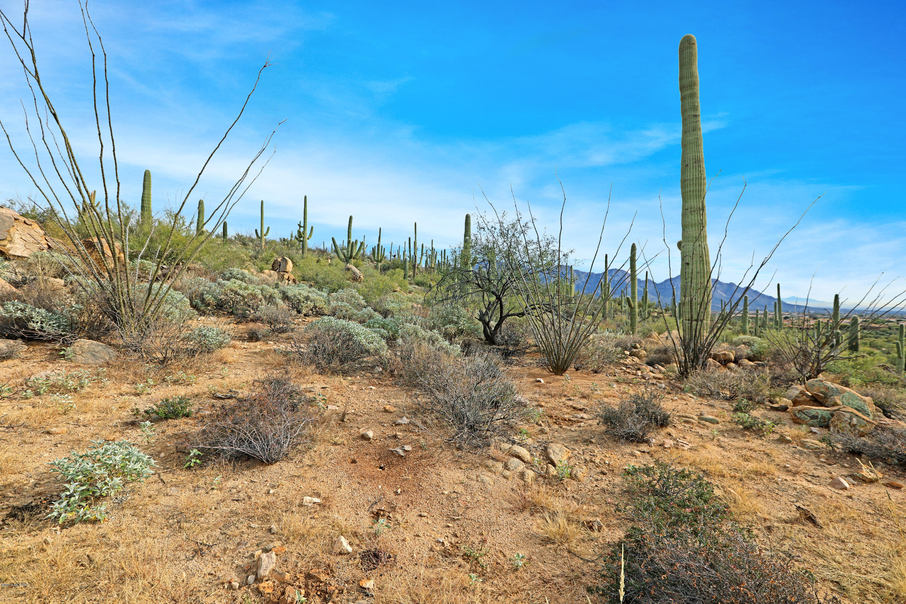 Stone Canyon VIII (486-602) - Land