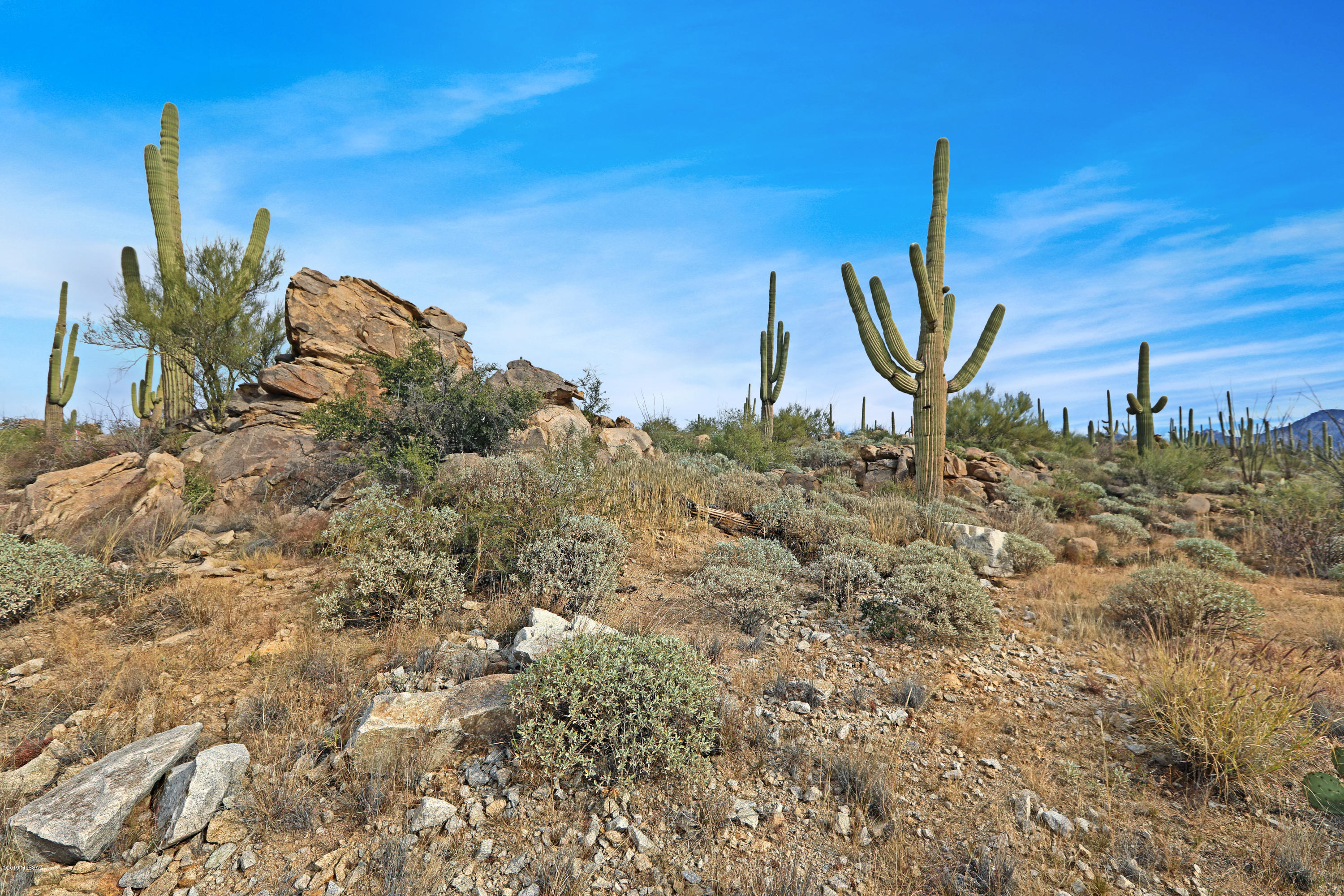 Stone Canyon VIII (486-602) - Land