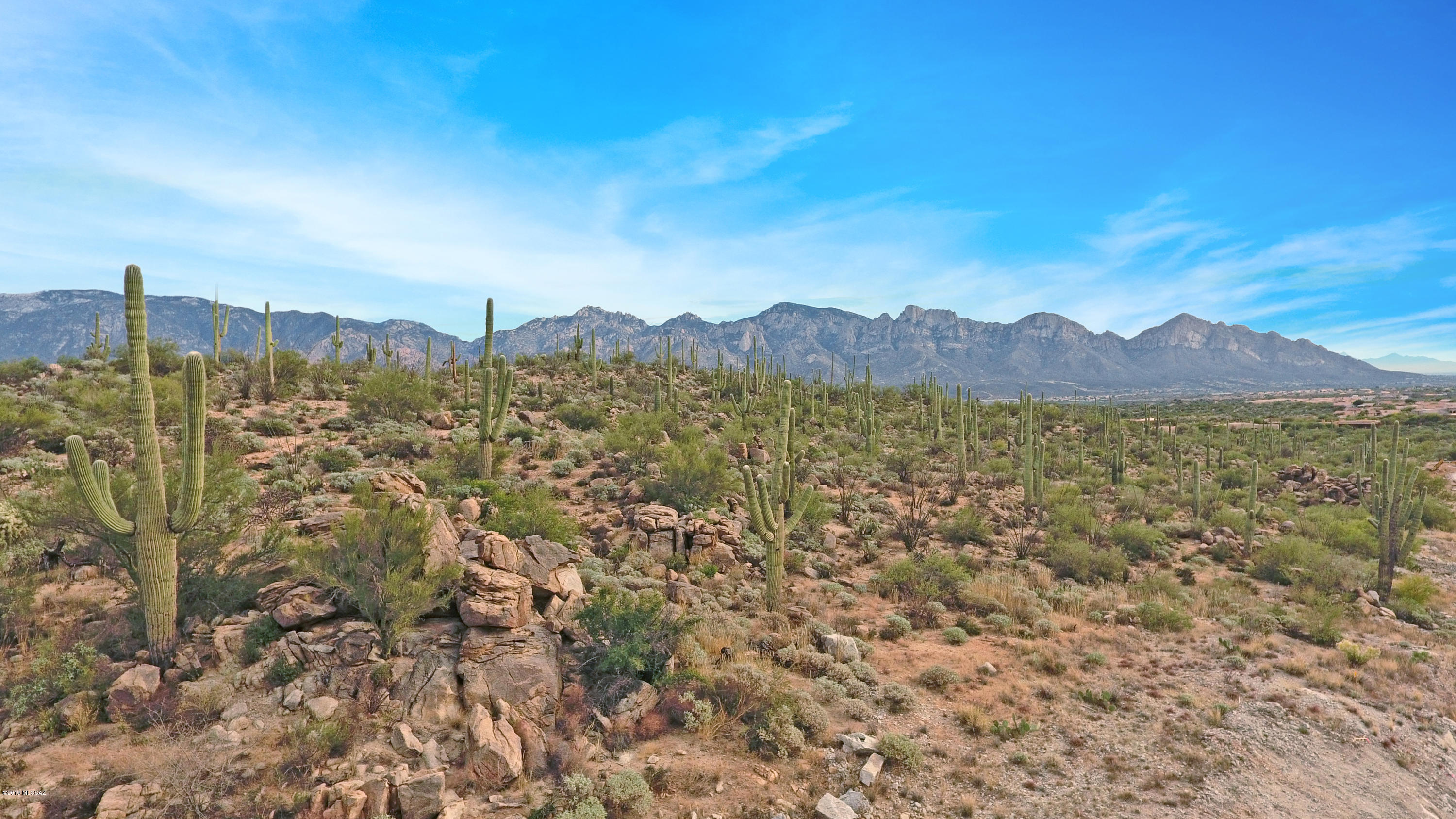 Stone Canyon VIII (486-602) - Land