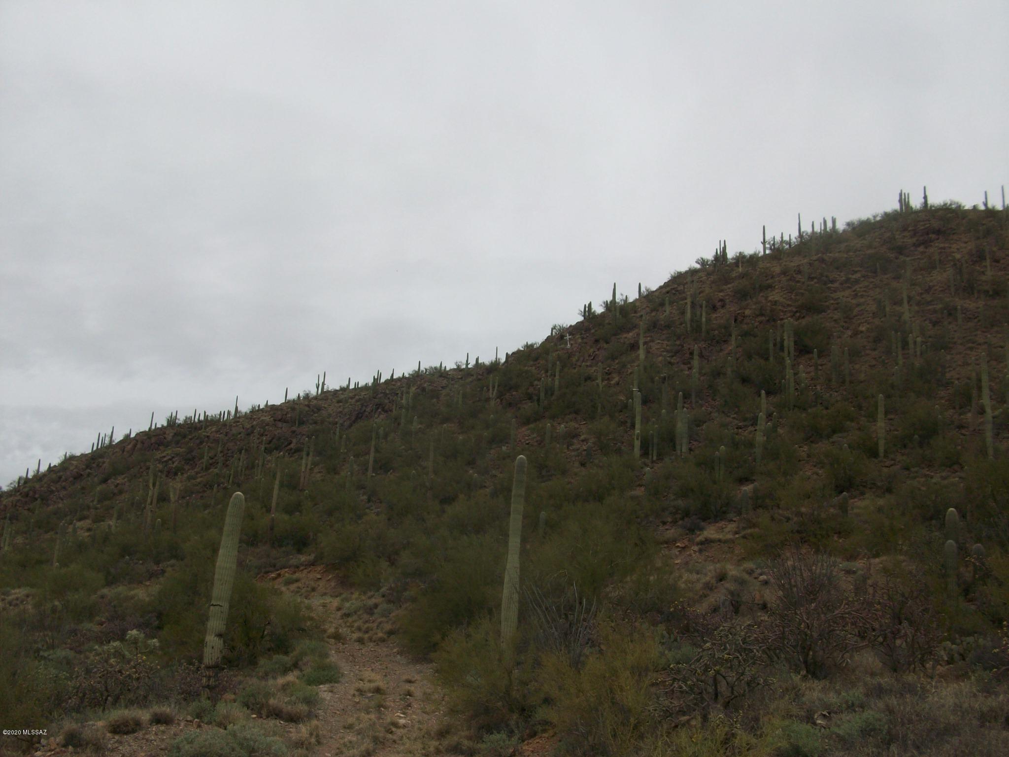 Foothills Ranchos (1-37) - Land