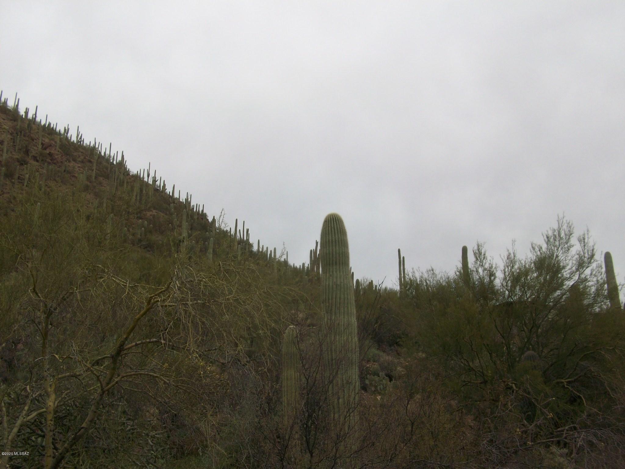 Foothills Ranchos (1-37) - Land