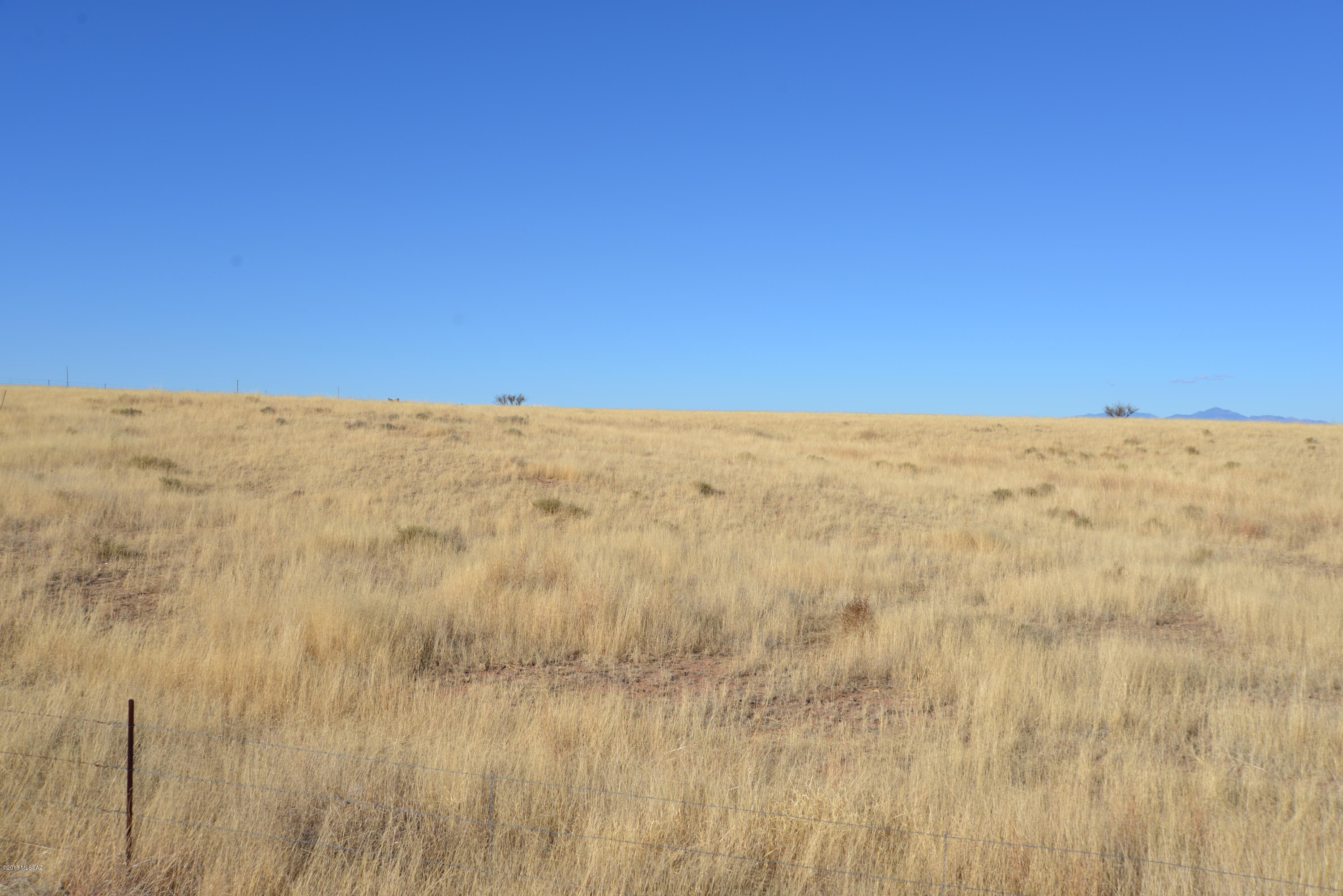 Out Of Pima County - Land
