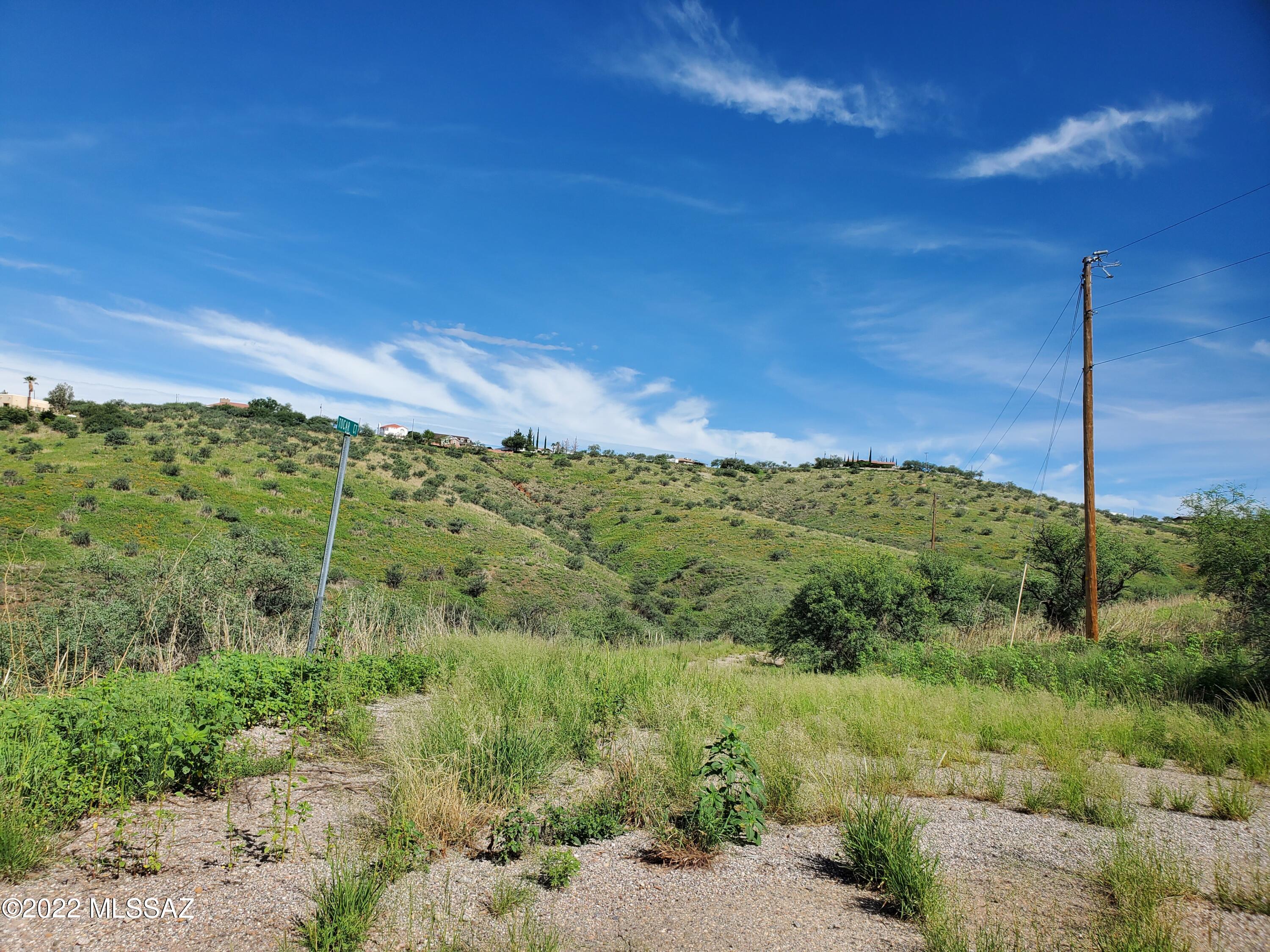 Huge beautiful lot with a gentle slope and gorgeous views in a great area ready to build your dream home!  Paved roads.  Electric and water appear to be at the street; however, should be verified during inspections.  The lot has passed a perc test in the past; however, has expired.  Near shops, schools and the interstate.  ***Owner financing available with down payment.***