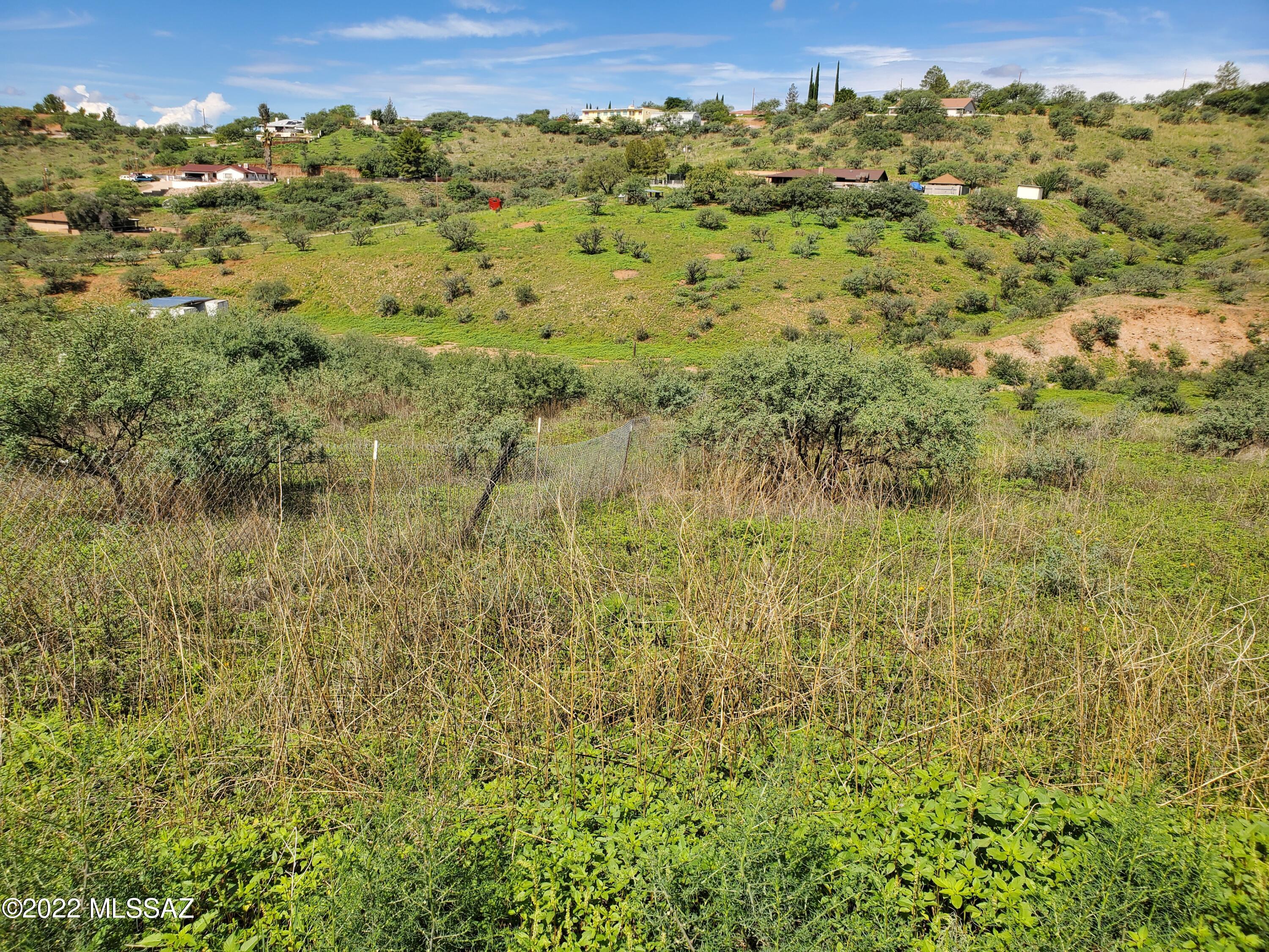Rio Rico Estates 3 - Land