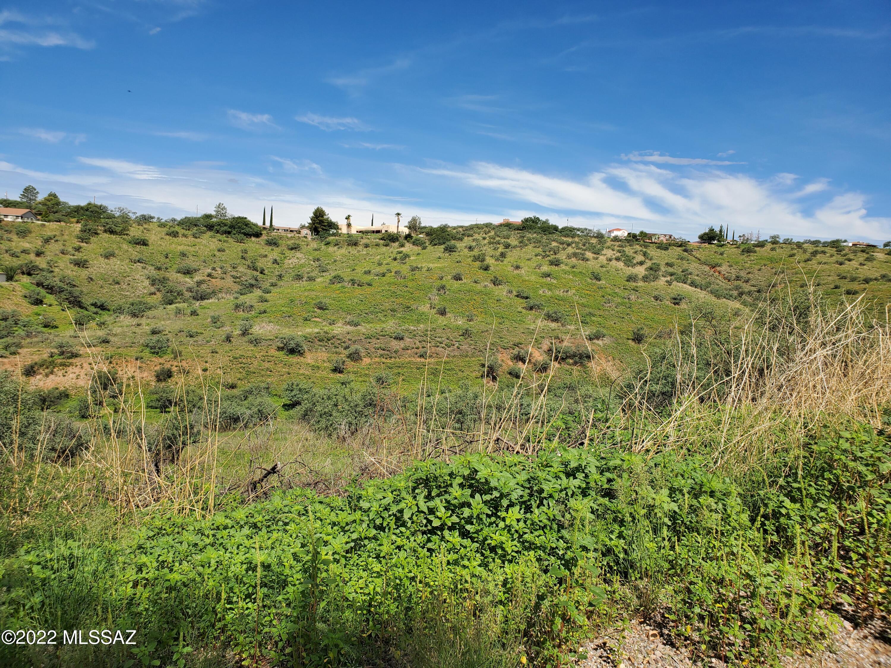 Rio Rico Estates 3 - Land