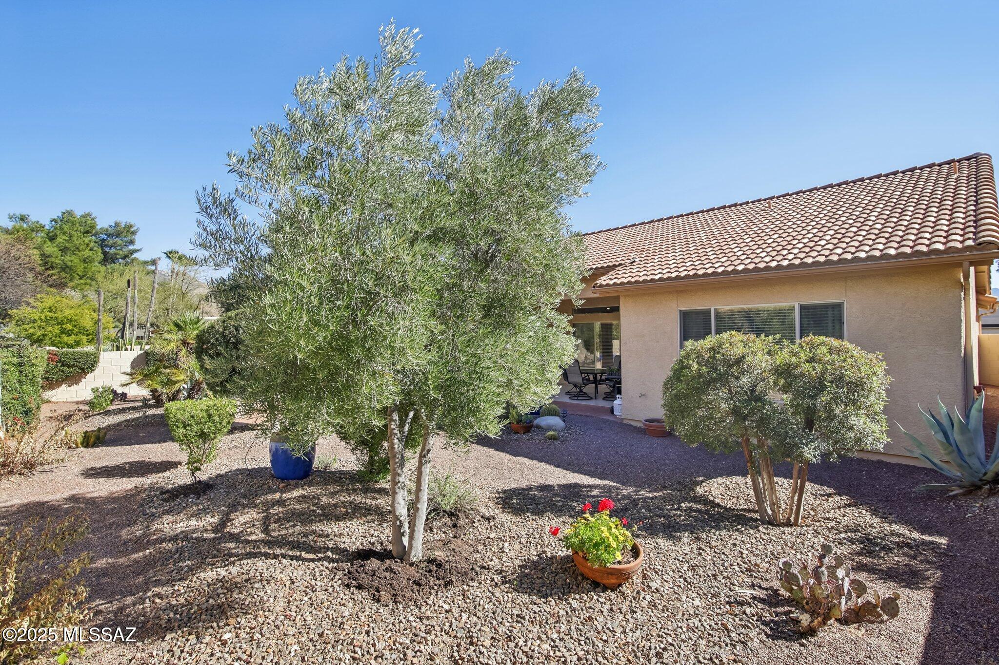 Saddlebrooke - Residential