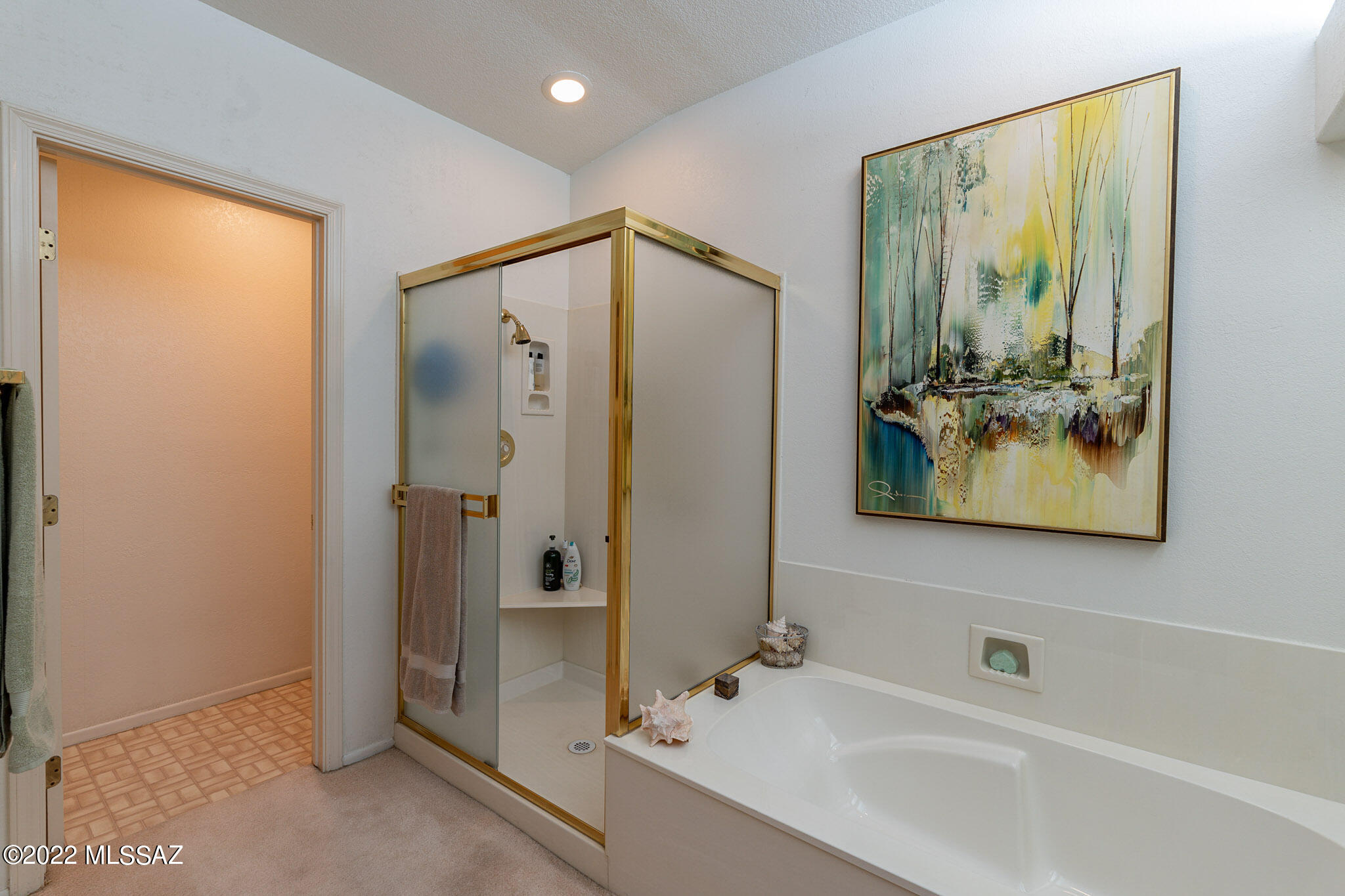 Sun City Vistoso Unit 6 - Residential