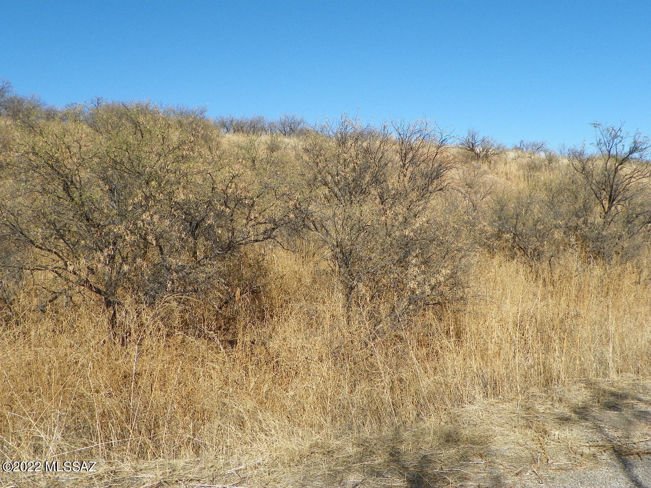 Rio Rico Estates 4 - Land