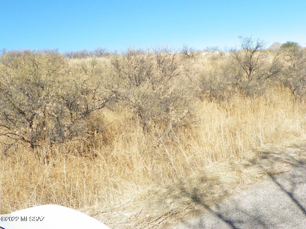 Rio Rico Estates 4 - Land