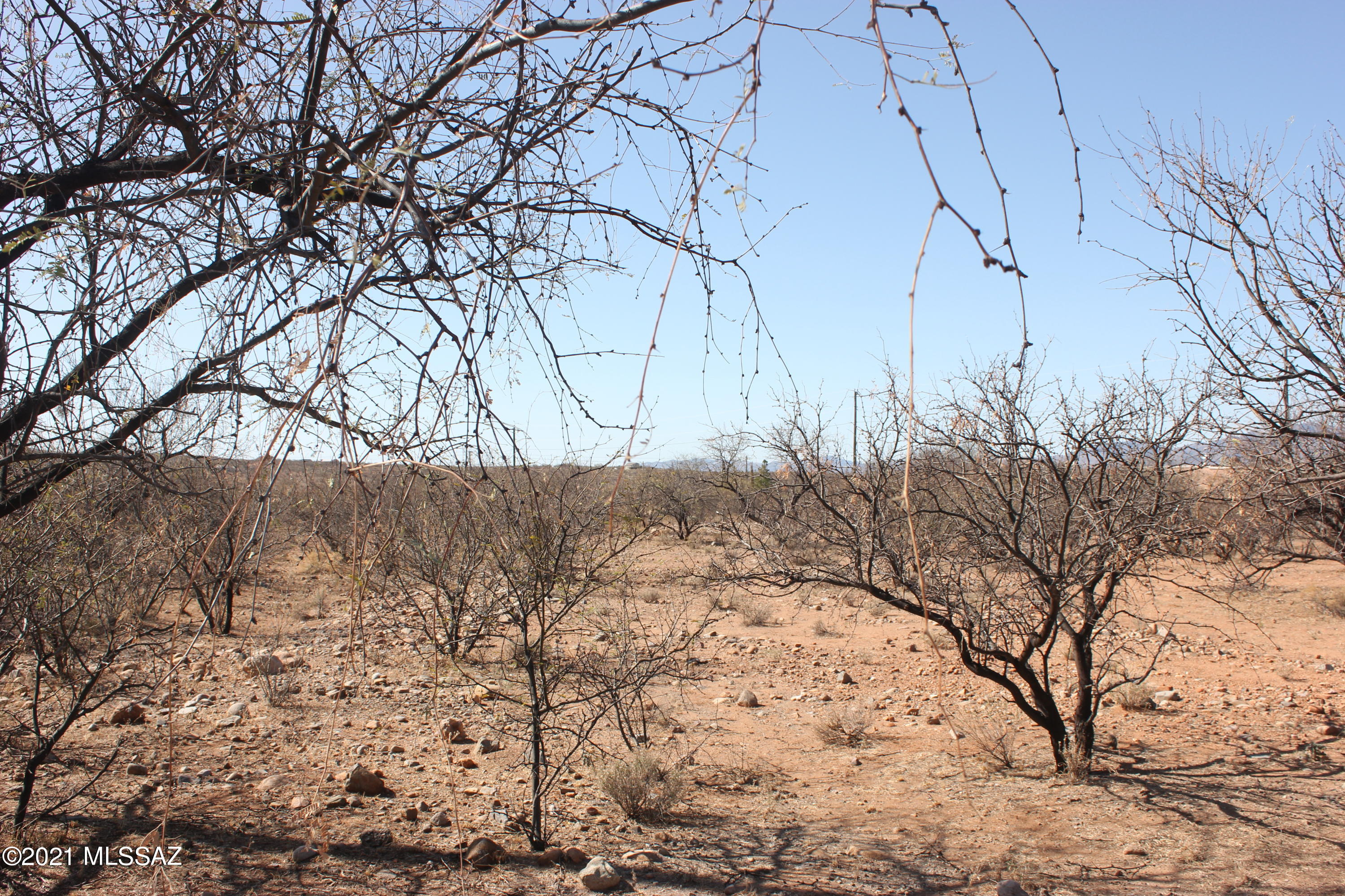 Rio Rico Villas 12 - Land