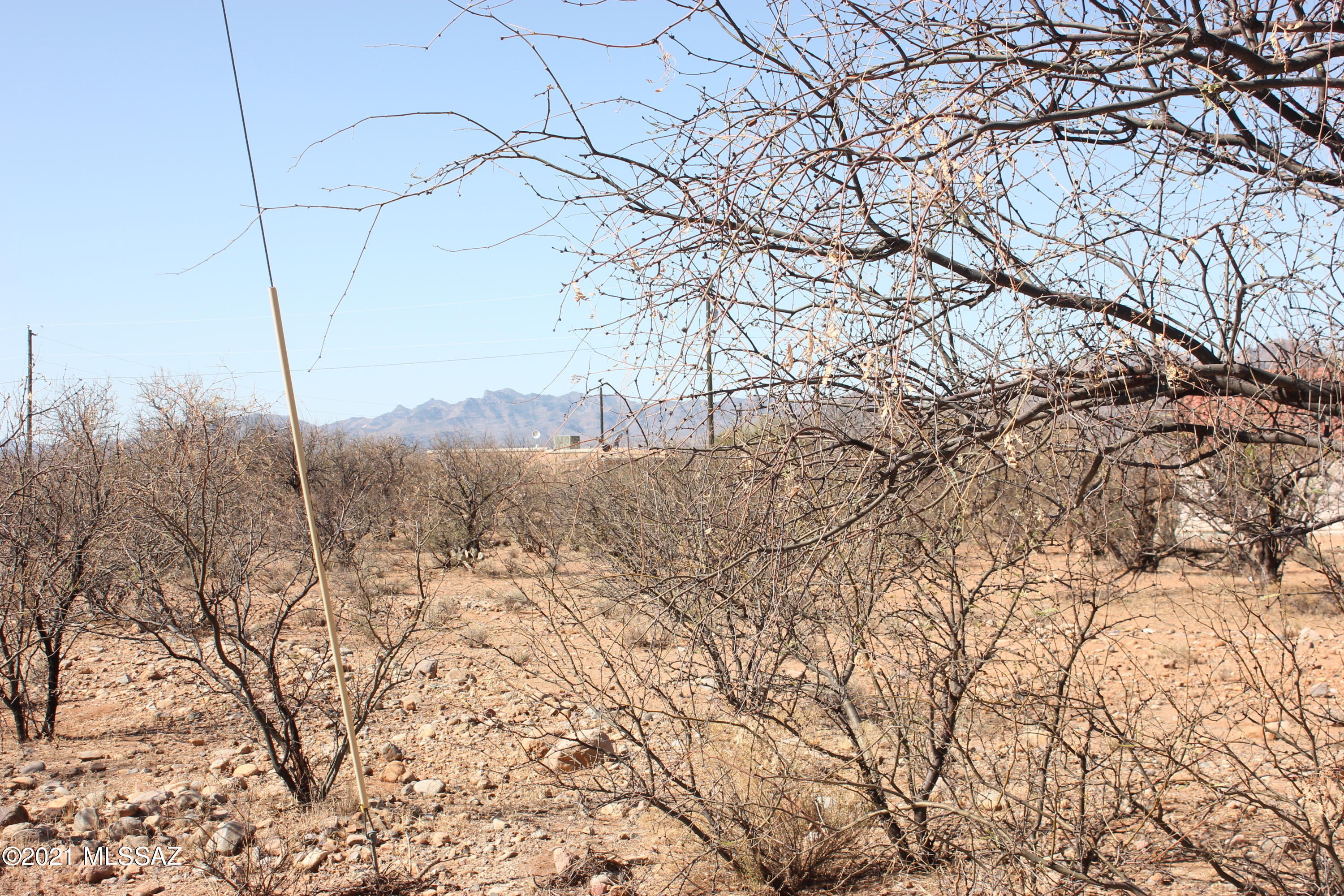 Rio Rico Villas 12 - Land