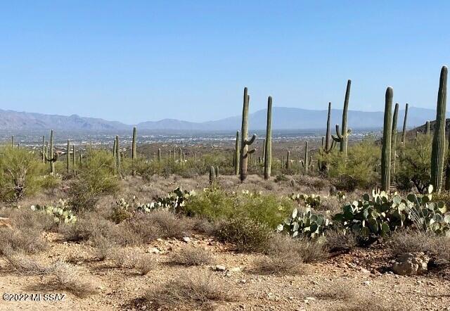 One of 5 lots Available in just opened up area in close in (4 miles to I-10) All custom Homes in gated area, Newly paved roads, all underground Elec, City water, amazing mountains & city views , common sense deed restrictions, No HOA, just $300 a year for road and gate assessment owner/agent