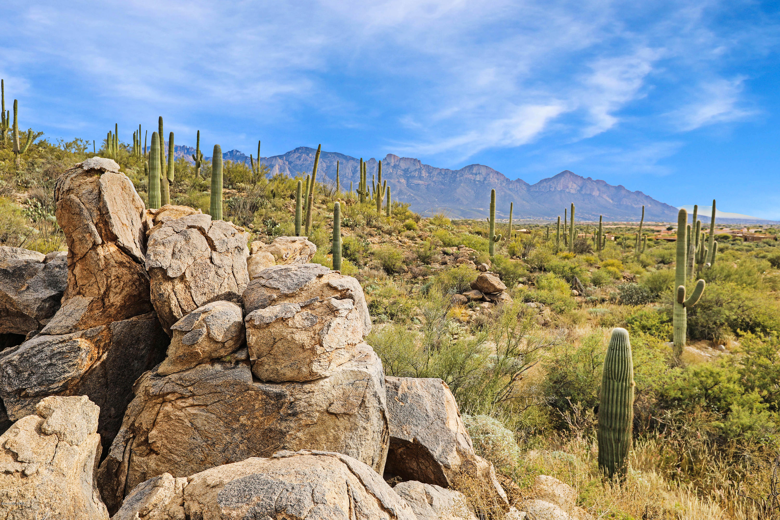Stone Canyon VIII (486-602) - Land