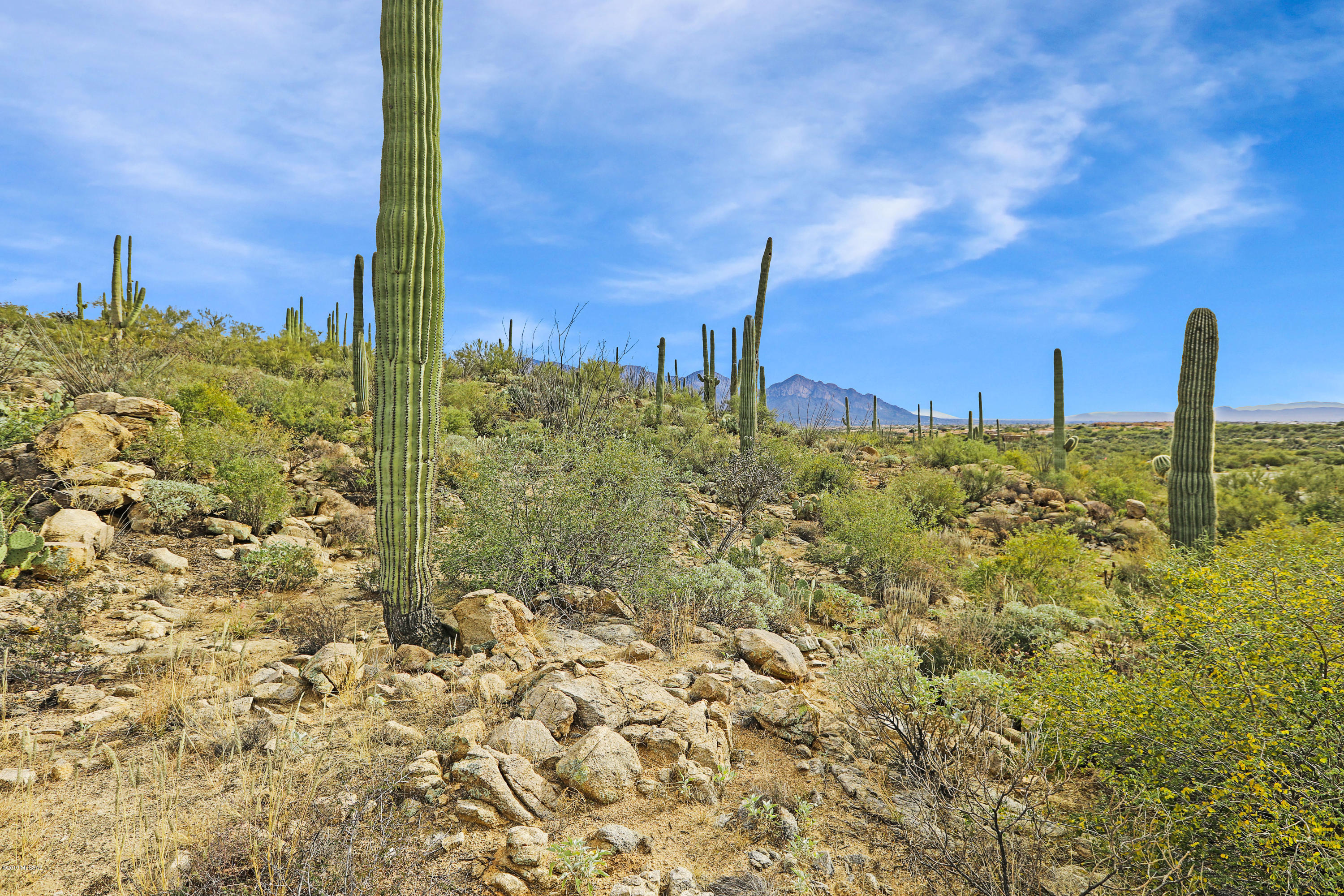 Stone Canyon VIII (486-602) - Land