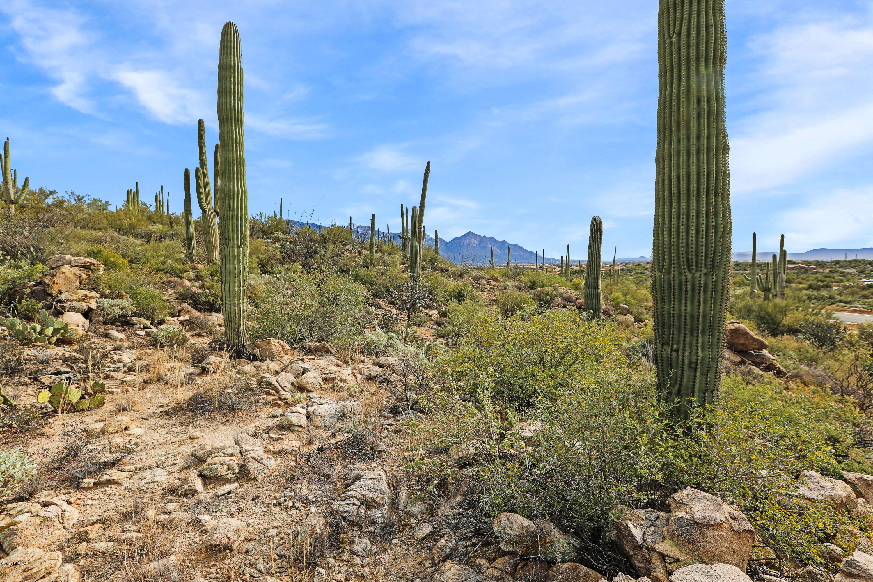 Stone Canyon VIII (486-602) - Land