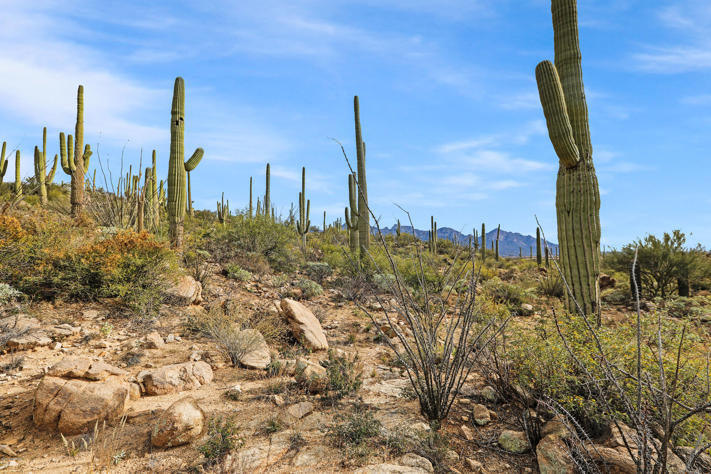 Stone Canyon VIII (486-602) - Land