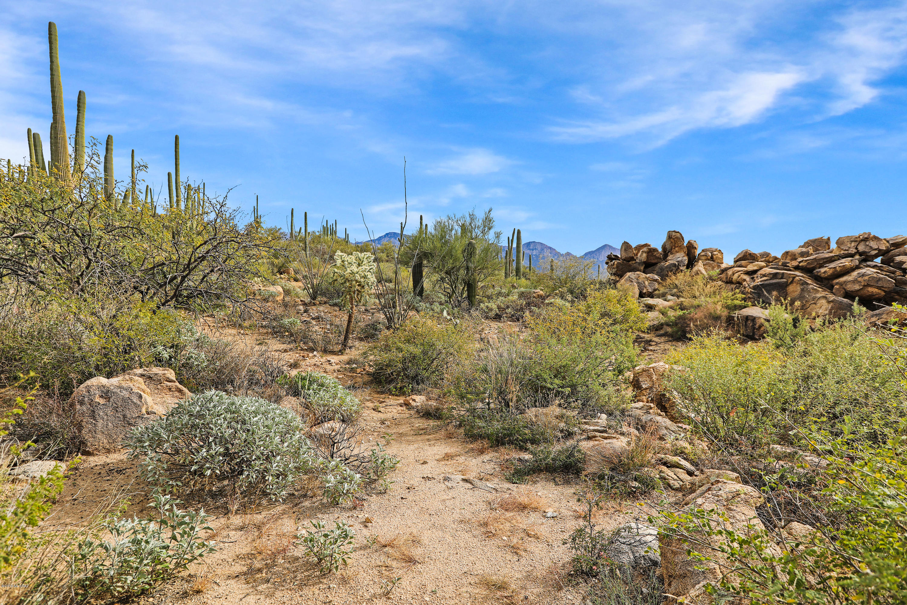 Stone Canyon VIII (486-602) - Land