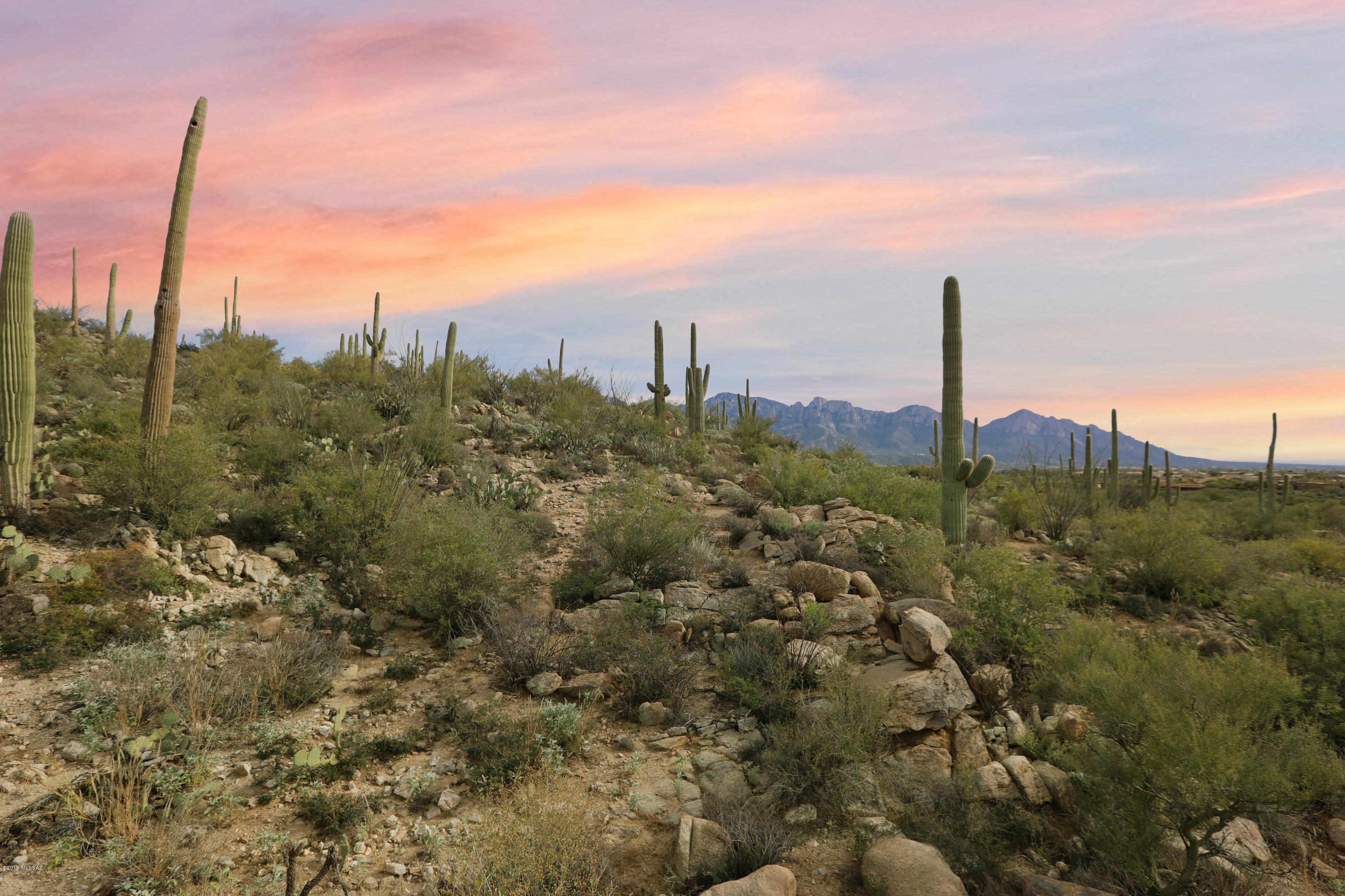 Stone Canyon VIII (486-602) - Land