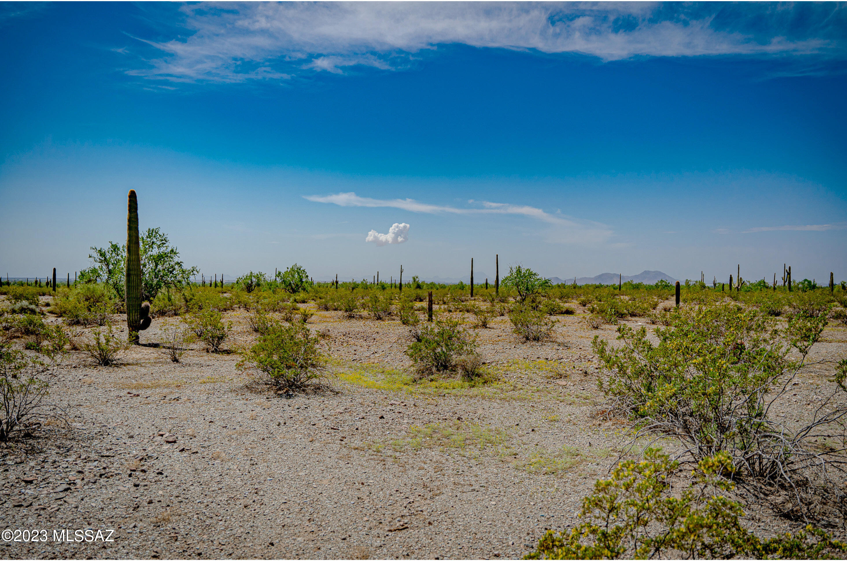 Out Of Pima County - Land