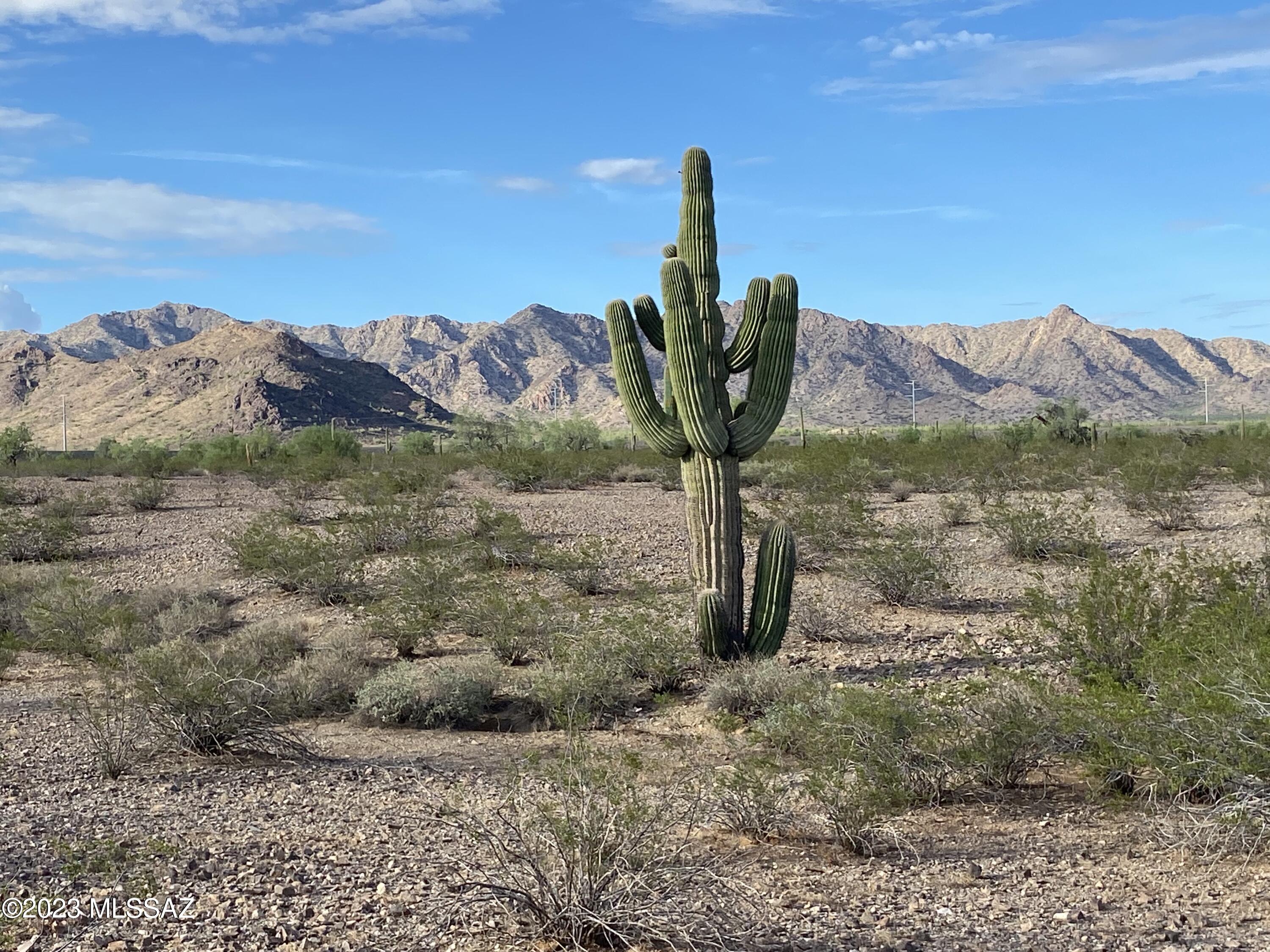 Out Of Pima County - Land