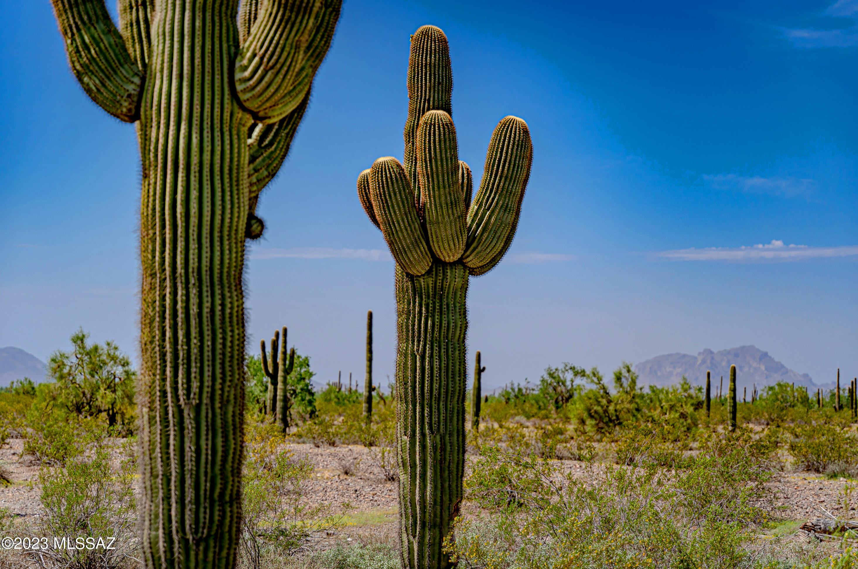 Out Of Pima County - Land