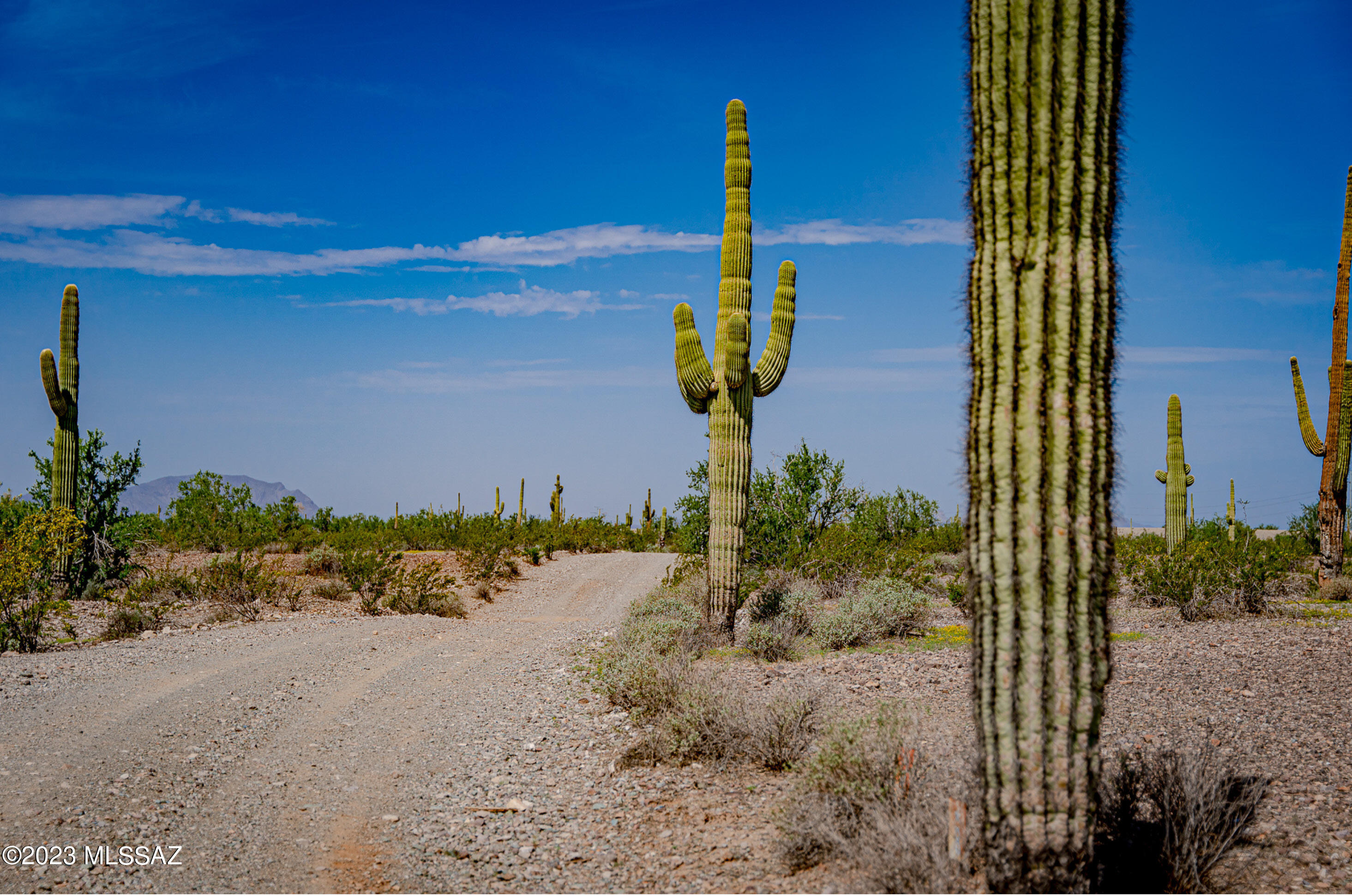 Out Of Pima County - Land
