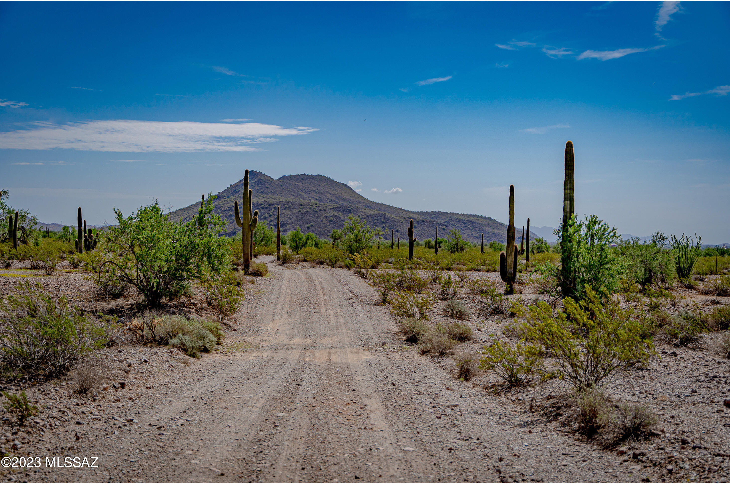 Out Of Pima County - Land