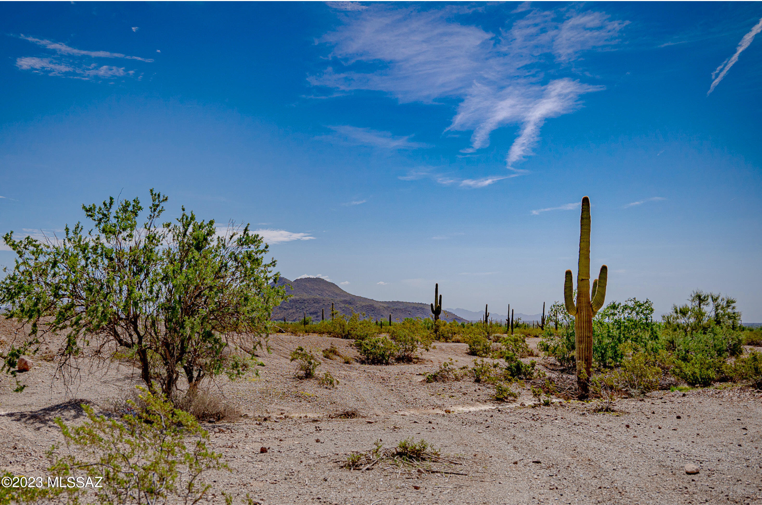Out Of Pima County - Land