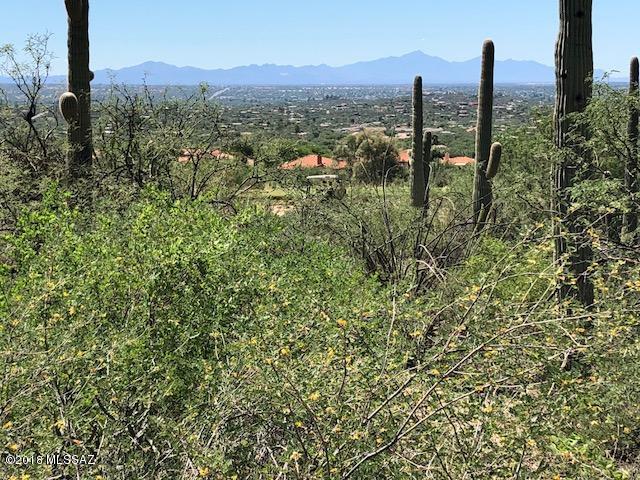 Sabino Estates (1-45) - Land