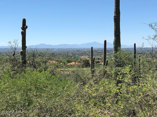 Sabino Estates (1-45) - Land