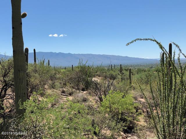 Sabino Estates (1-45) - Land