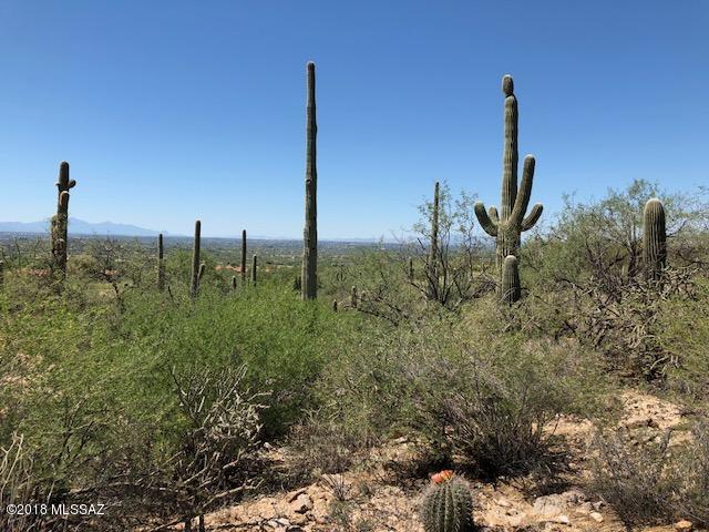 Sabino Estates (1-45) - Land