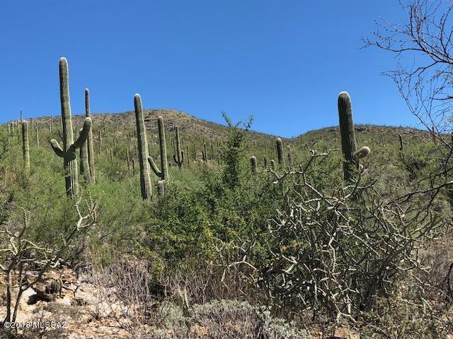 Sabino Estates (1-45) - Land