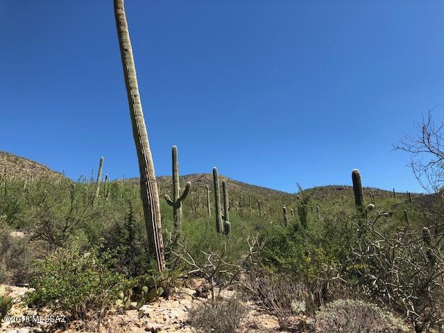 Sabino Estates (1-45) - Land