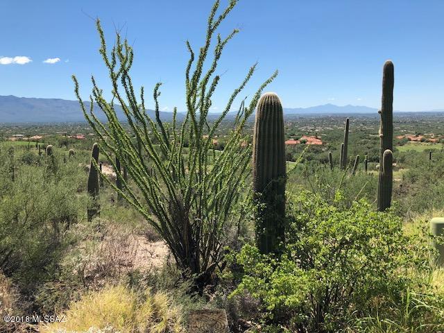 Sabino Estates (1-45) - Land