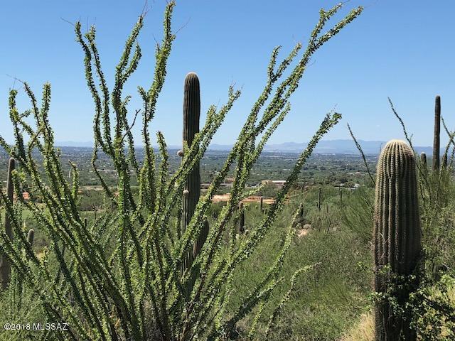 Sabino Estates (1-45) - Land
