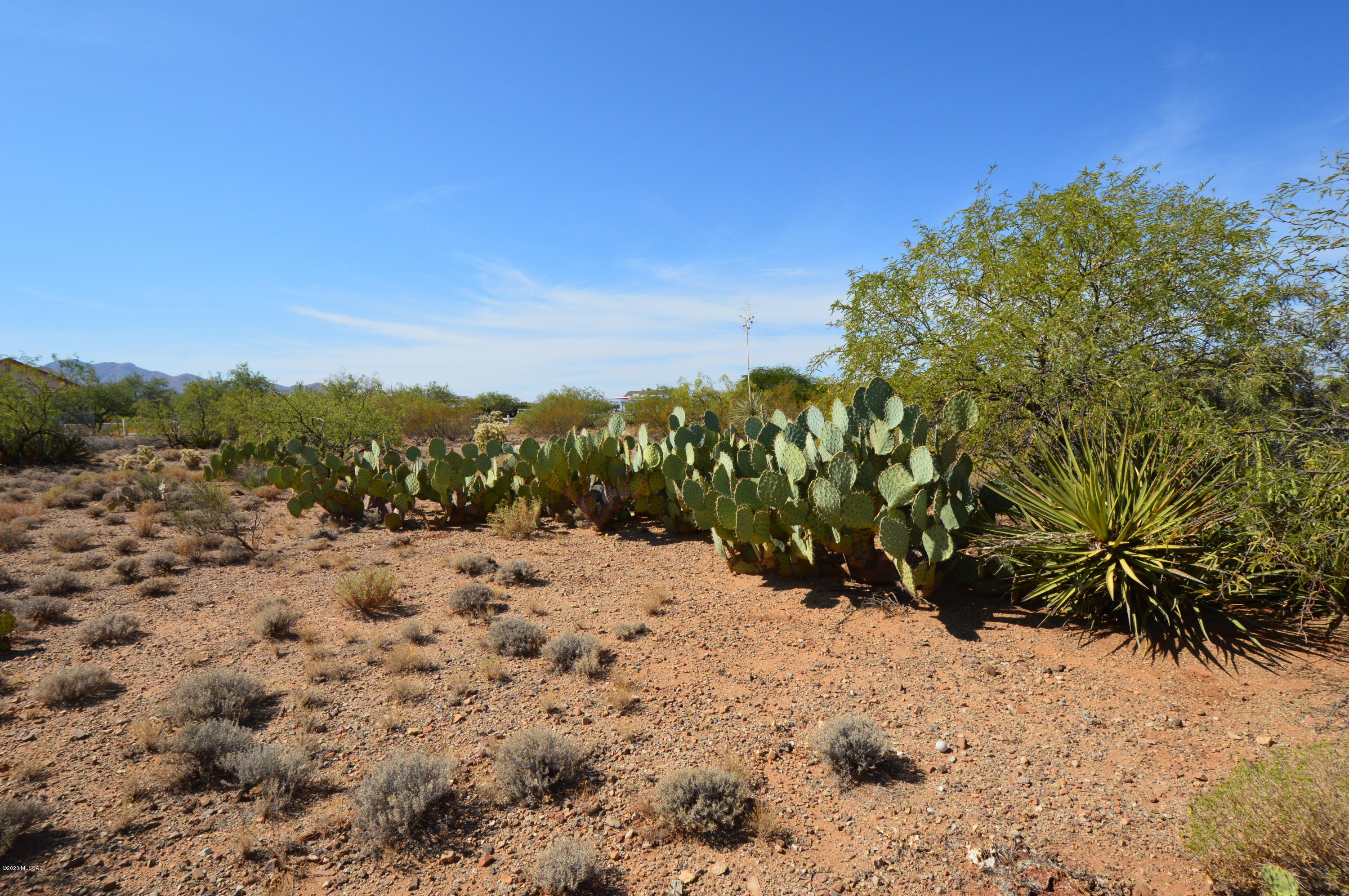 New Tucson Unit NO. 8 (1-455) - Land