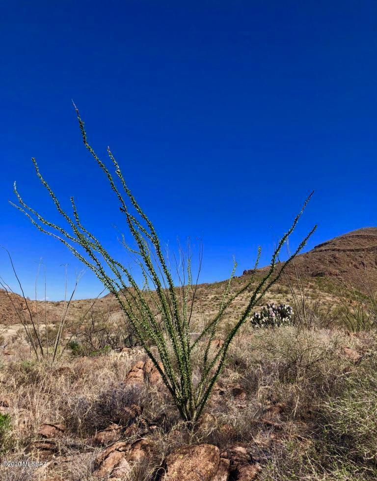 Salero Ranch - Land